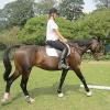 Flatwork (7)
