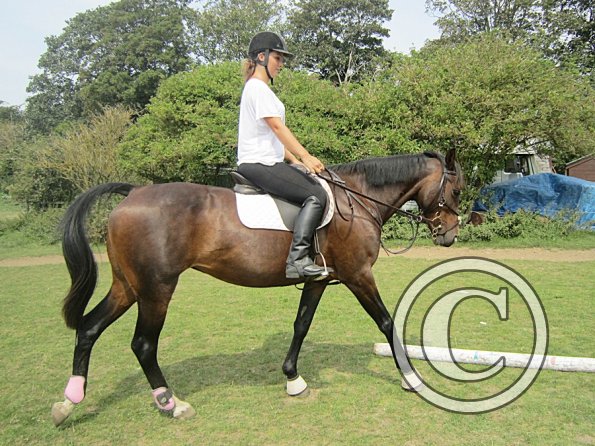 Flatwork (7)