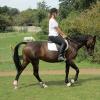Flatwork (8)