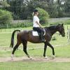 Flatwork (9)