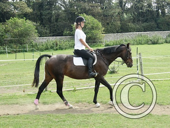 Flatwork (9)
