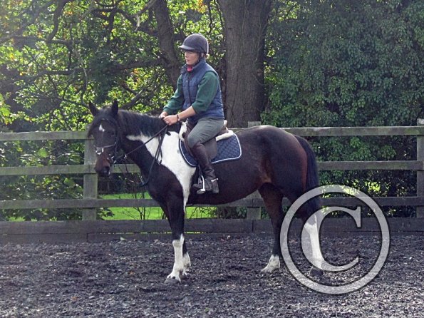 Penny riding May (3)