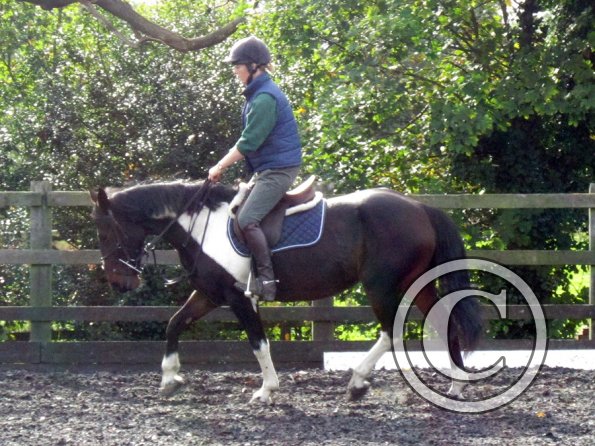 Penny riding May (4)