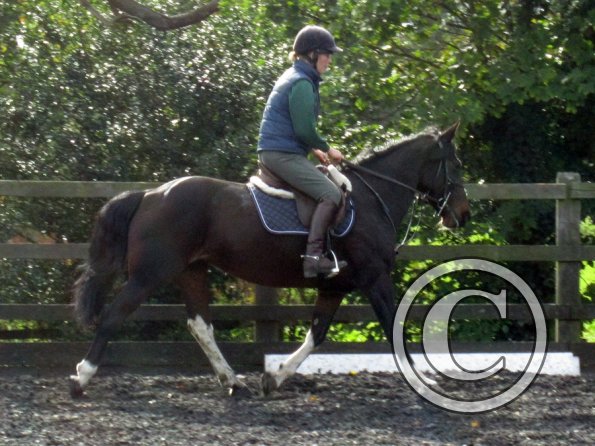 Penny riding May (5)