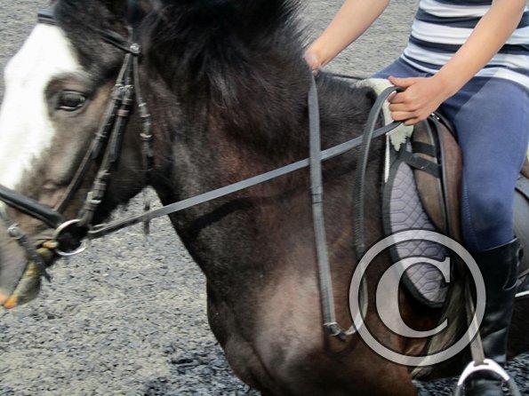 Mia and Jessie lesson (11)