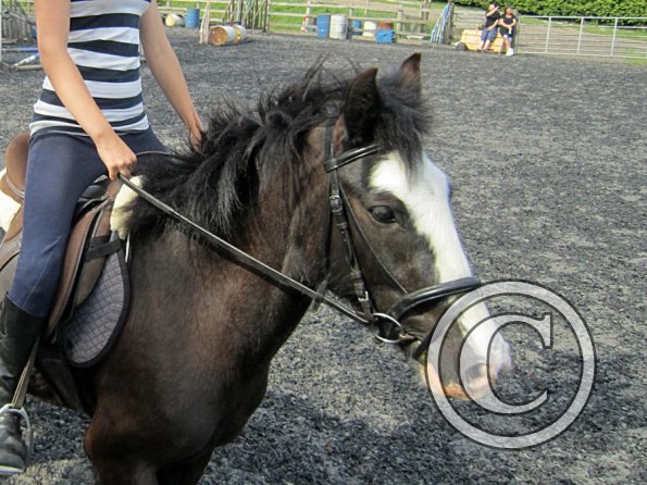 Mia and Jessie lesson (14)