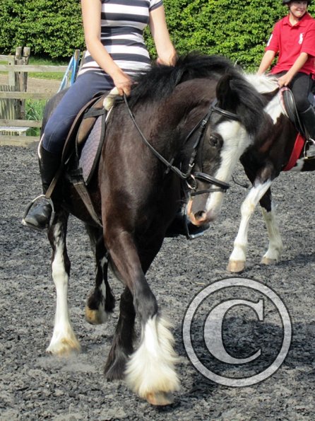 Mia and Jessie lesson (18)