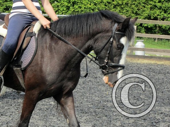 Mia and Jessie lesson (23)