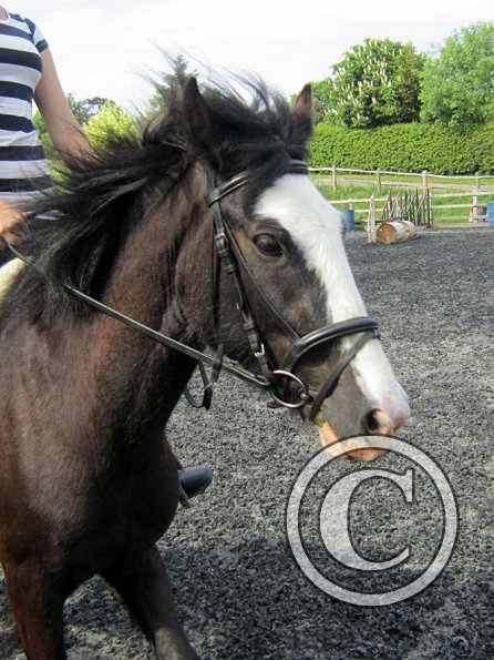 Mia and Jessie lesson (28)