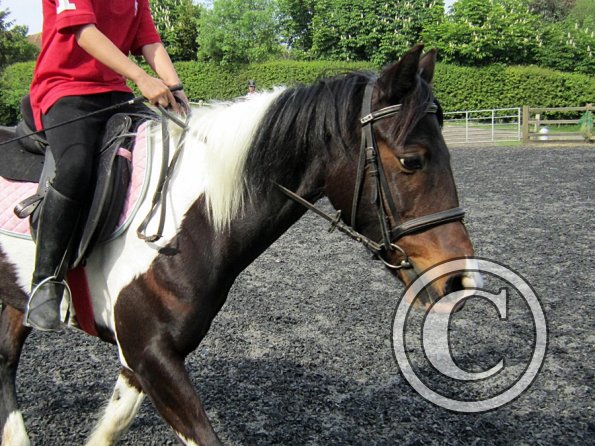 Mia and Jessie lesson (29)