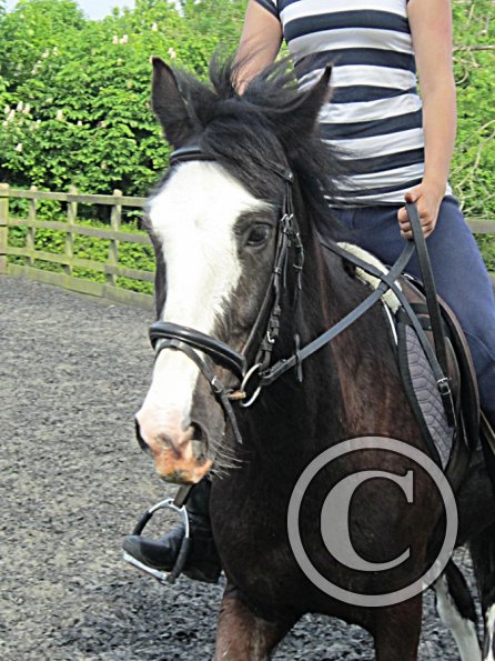 Mia and Jessie lesson (39)