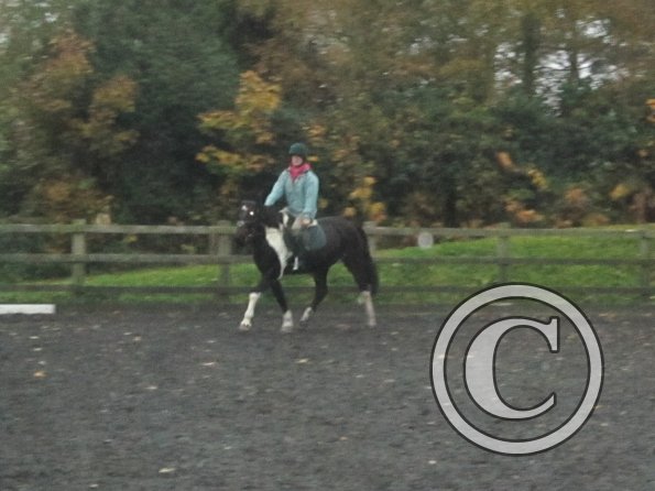 Nikita lesson on May (12)