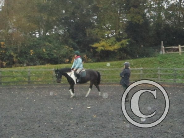 Nikita lesson on May (13)