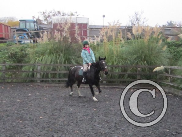 Nikita lesson on May (14)