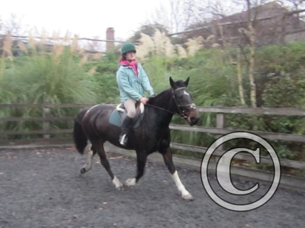 Nikita lesson on May (15)