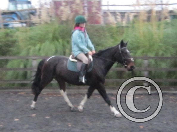 Nikita lesson on May (16)