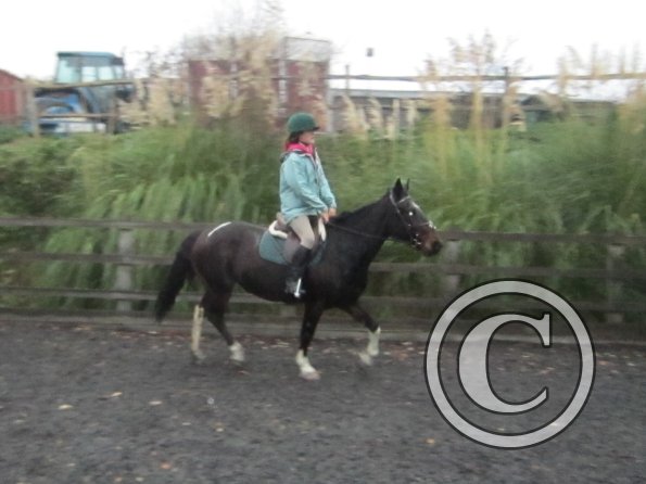 Nikita lesson on May (17)