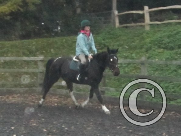 Nikita lesson on May (18)