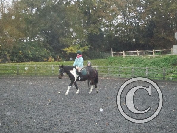 Nikita lesson on May (4)