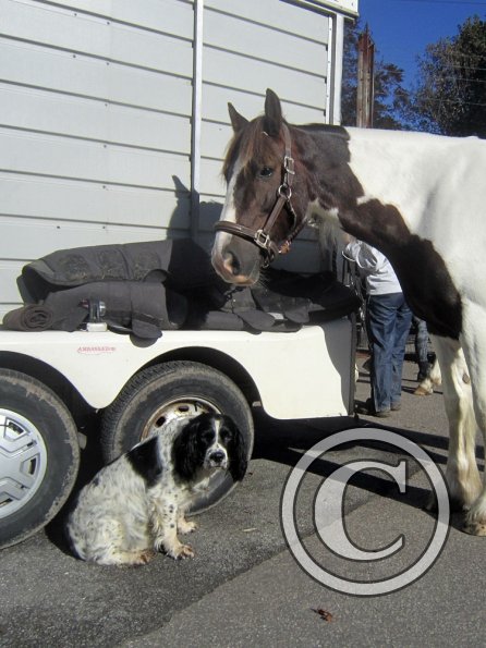 Lesson at Penny September JD Lance