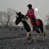 Trotting in the snow11