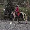 Trotting in the snow12