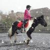 Trotting in the snow13