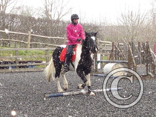 Trotting in the snow