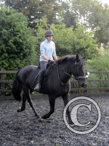 Polly and Sailor (10)