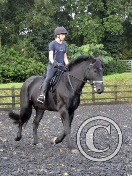 Polly and Sailor (13)