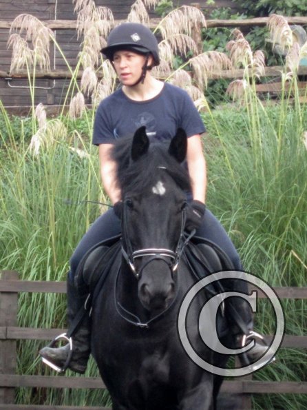 Polly and Sailor (15)