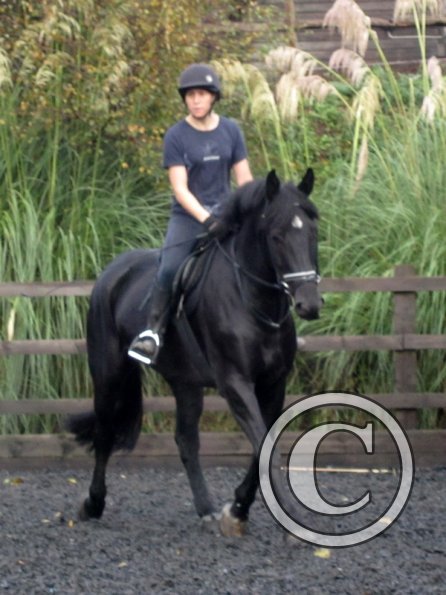 Polly and Sailor (18)