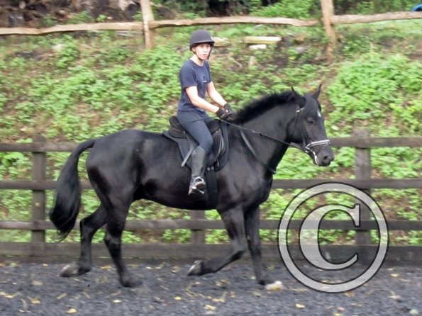 Polly and Sailor (19)