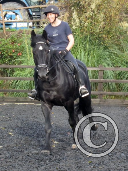 Polly and Sailor (21)