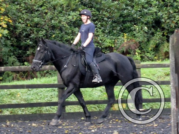 Polly and Sailor (24)