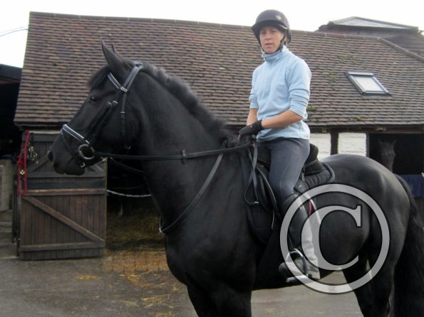 Polly and Sailor (5)