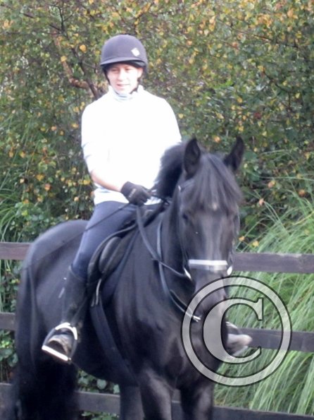 Polly and Sailor (7)