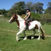 Sarah and Breeze (11)