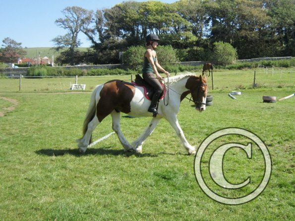 Sarah and Breeze (13)