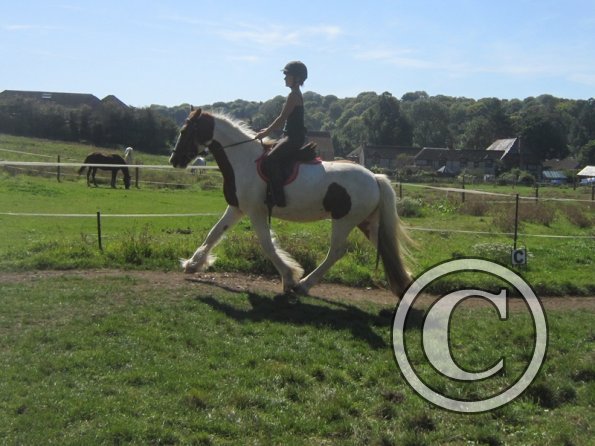 Sarah and Breeze (15)