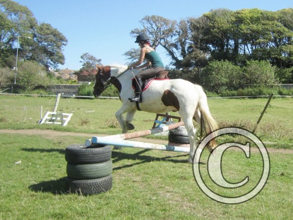 Sarah and Breeze (16)