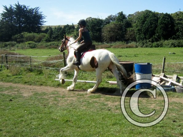 Sarah and Breeze (17)