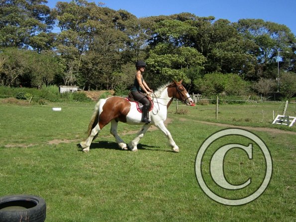 Sarah and Breeze (4)