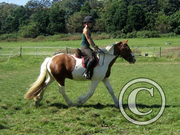 Sarah and Breeze (5)