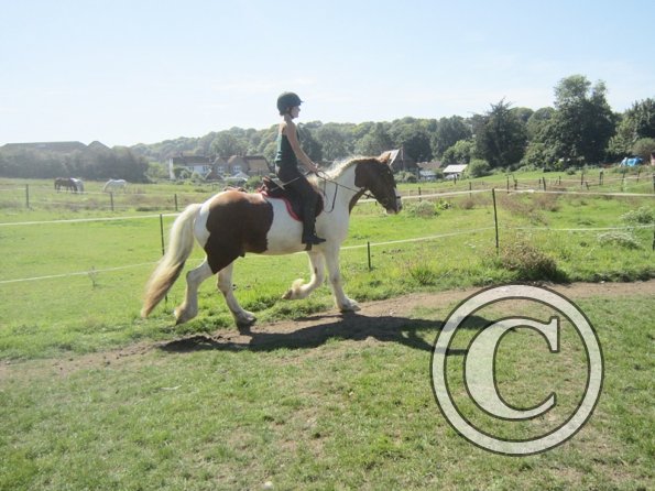 Sarah and Breeze (6)