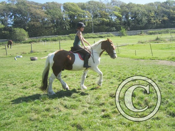 Sarah and Breeze (8)