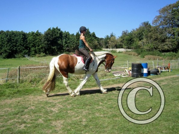 Sarah and Breeze (9)