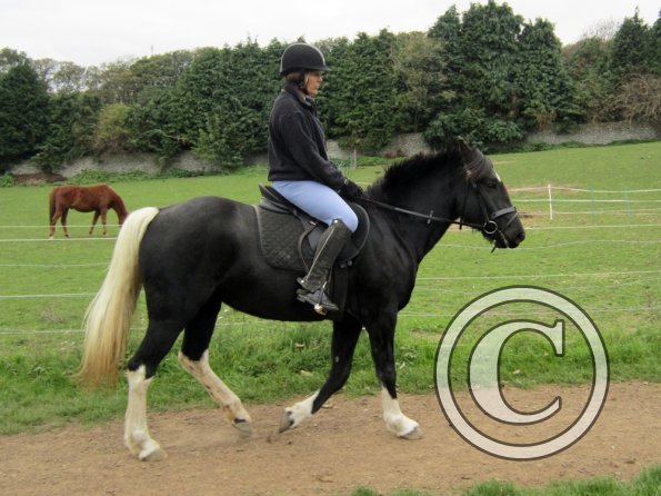 Shaz and Cheyenne (11)