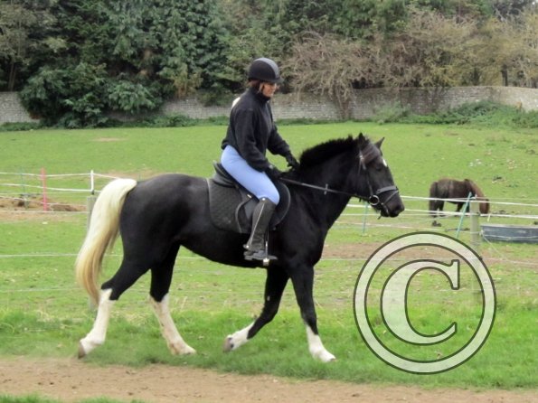 Shaz and Cheyenne (5)