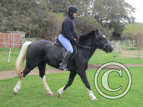 Shaz and Cheyenne (8)